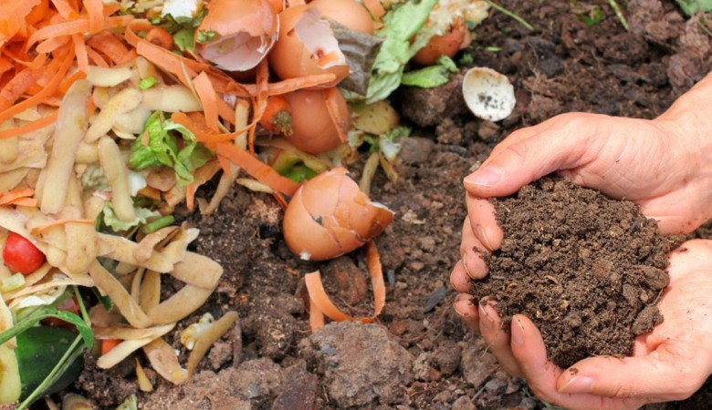 IMMAGINE-COMPOSTAGGIO