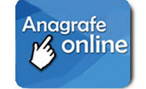 ana_online